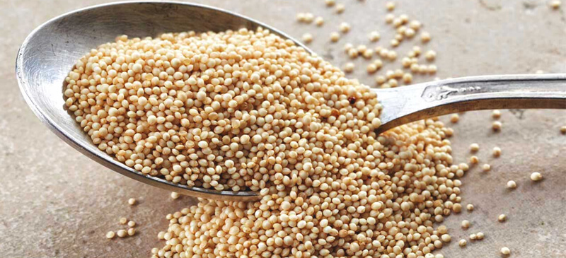 Amaranth seeds