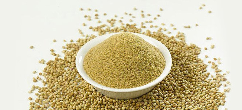 Coriander Seeds (Dhaniya)