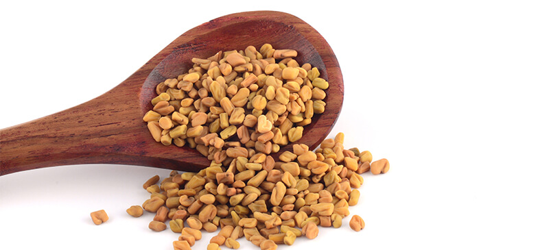 Fenugreek(methi)        