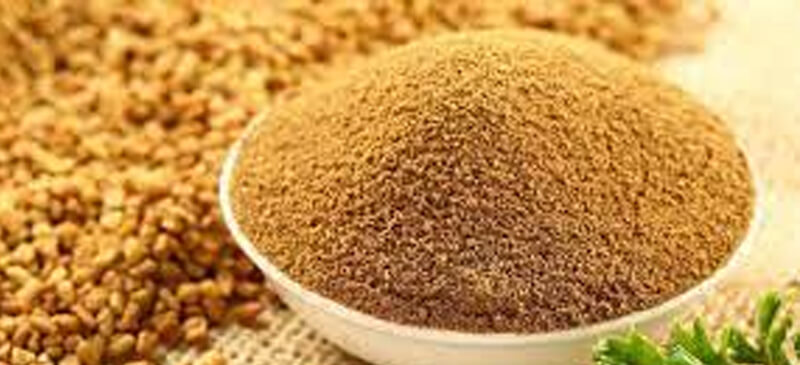 Fenugreek powder